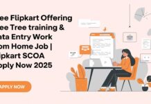 Free Flipkart offering Free Training & Data Entry Work From Home Job | Flipkart SCOA Apply Now 2025